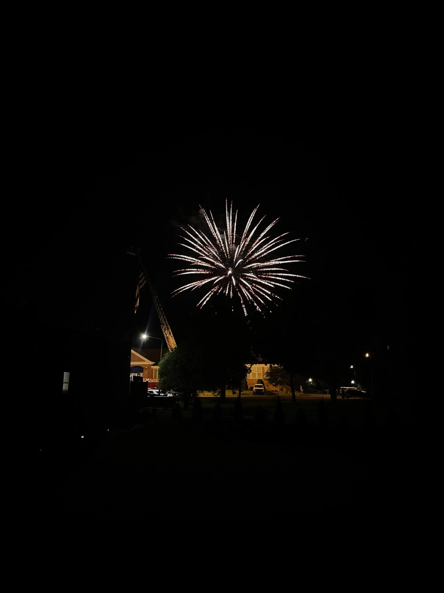 Fireworks burst over a lit castle at night.
